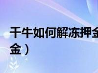 千牛如何解冻押金（手机千牛怎样解冻消保押金）