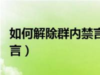 如何解除群内禁言（怎样解除群主在群中的禁言）