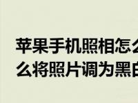 苹果手机照相怎么调黑白模式（iPhone11怎么将照片调为黑白）