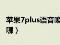 苹果7plus语音唤醒（苹果11语音唤醒功能在哪）