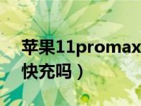 苹果11promax可以快充吗（苹果11pro是快充吗）