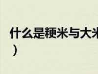 什么是粳米与大米的区别（粳米和大米的区别）