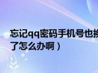 忘记qq密码手机号也换了怎么办（忘记qq密码手机号也换了怎么办啊）