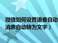 微信如何设置语音自动转为文字（微信电脑端怎么设置语音消息自动转为文字）