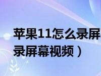 苹果11怎么录屏幕视频带声音（苹果11怎么录屏幕视频）