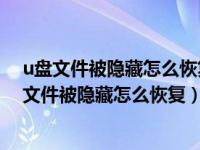 u盘文件被隐藏怎么恢复?U盘里的文件不见了怎么办（u盘文件被隐藏怎么恢复）