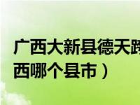 广西大新县德天跨国大瀑布（德天大瀑布在广西哪个县市）