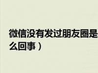 微信没有发过朋友圈是怎么显示的（微信不显示朋友圈是怎么回事）