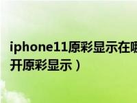 iphone11原彩显示在哪（iphone11原彩显示是什么怎么打开原彩显示）