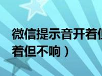 微信提示音开着但不响oppo（微信提示音开着但不响）