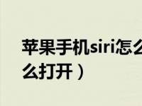 苹果手机siri怎么打开全屏（苹果手机siri怎么打开）