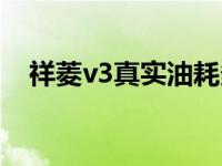 祥菱v3真实油耗多少（福田祥菱v1油耗）