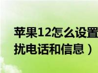 苹果12怎么设置骚扰拦截（苹果怎么拦截骚扰电话和信息）