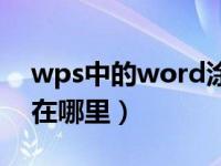 wps中的word涂鸦笔在哪里（word涂鸦笔在哪里）