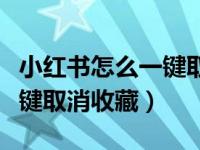 小红书怎么一键取消所有收藏（小红书如何一键取消收藏）