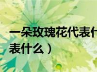 一朵玫瑰花代表什么意思图片（一朵玫瑰花代表什么）