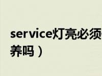 service灯亮必须保养吗（service灯亮必须保养吗）