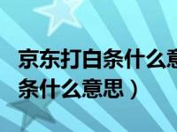 京东打白条什么意思一次性支付呢（京东打白条什么意思）