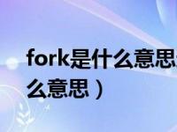 fork是什么意思这个单词可数吗（fork是什么意思）