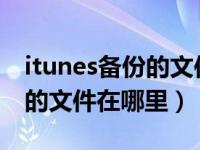 itunes备份的文件在哪里win7（itunes备份的文件在哪里）