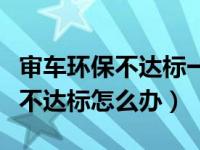 审车环保不达标一天只能去一次吗（审车环保不达标怎么办）