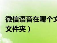 微信语音在哪个文件夹转换（微信语音在哪个文件夹）