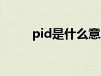 pid是什么意思（pid是什么意思）