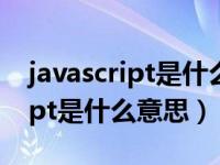 javascript是什么意思翻译成中文（javascript是什么意思）