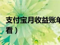 支付宝月收益账单怎么看（支付宝账单在哪里看）