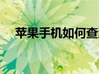 苹果手机如何查流量（如何查手机流量）