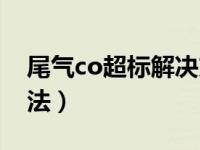 尾气co超标解决方法（尾气co不合格解决方法）