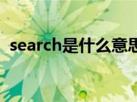 search是什么意思呢（search是什么意思）