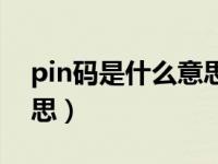 pin码是什么意思平板电脑（pin码是什么意思）