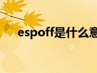 espoff是什么意思（esp off什么意思）