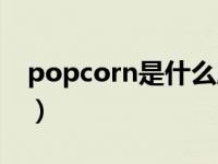 popcorn是什么牌子（popcorn是什么意思）