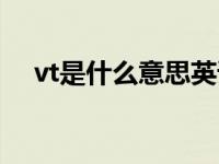 vt是什么意思英语词性（vt是什么意思）