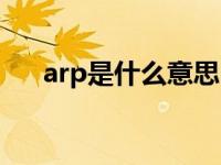 arp是什么意思中文（arp是什么意思）