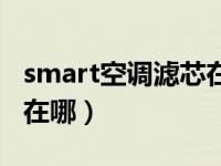 smart空调滤芯在哪里安装（smart空调滤芯在哪）