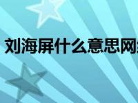 刘海屏什么意思网络用语（刘海屏什么意思）