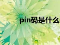 pin码是什么密码（pin码是什么）