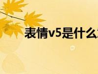 表情v5是什么意思（v5是什么意思）