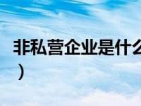 非私营企业是什么意思（私营企业是什么意思）