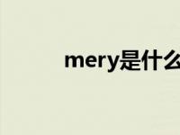 mery是什么车（mey是什么车）