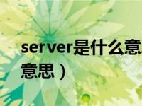 server是什么意思中文翻译（server是什么意思）