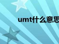 umt什么意思（umts是什么意思）