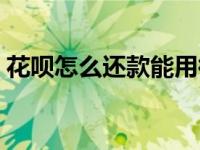 花呗怎么还款能用微信还吗（花呗怎么还款）