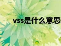 vss是什么意思翻译（vss是什么意思）