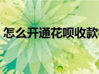 怎么开通花呗收款视频（怎么开通花呗收款）