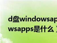 d盘windowsapps可以删除吗（d盘windowsapps是什么）