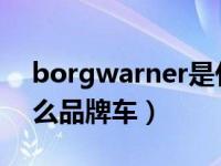 borgwarner是什么品牌车（borgwar是什么品牌车）